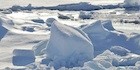 Arctic Ice